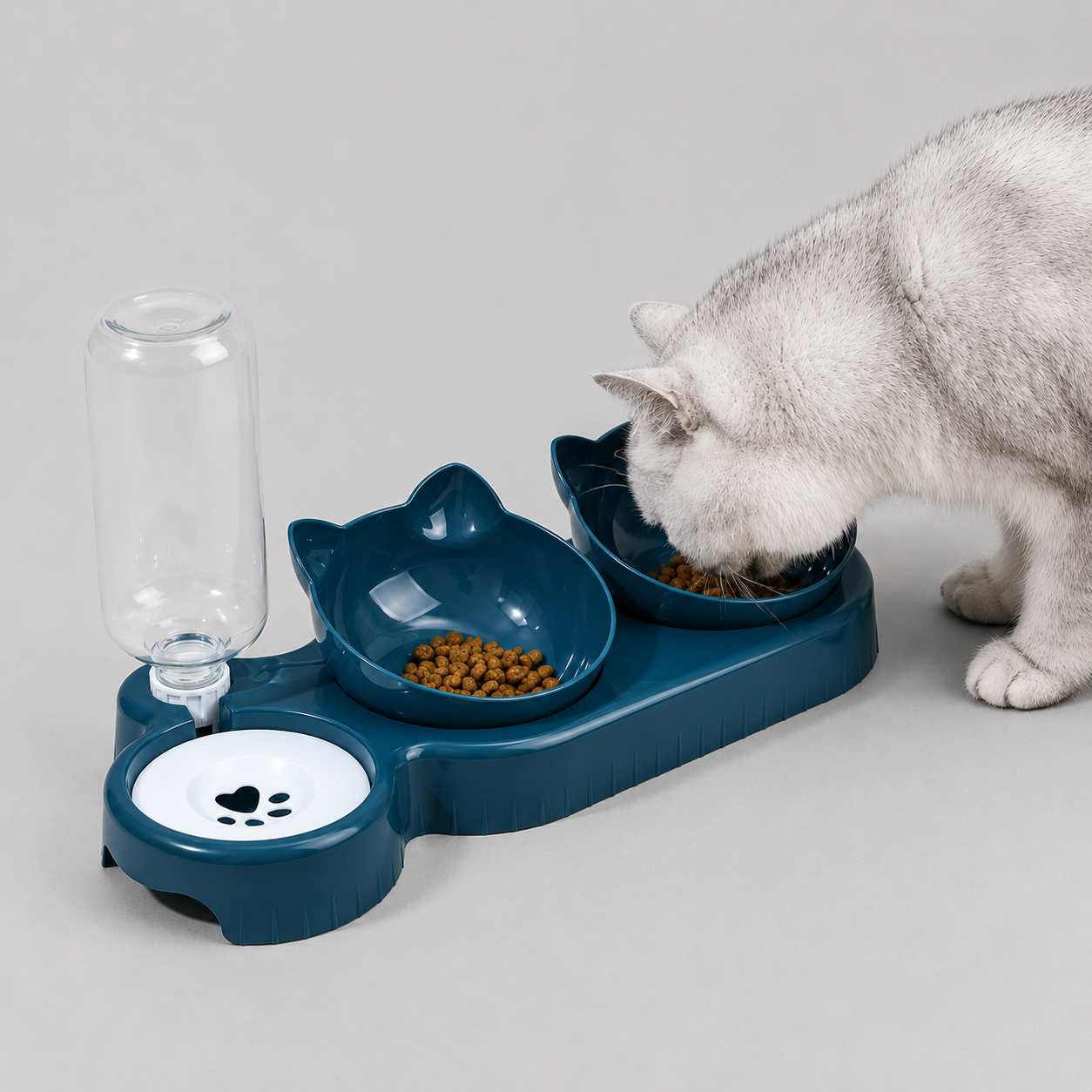 3-in-1 Cat Feeding Station