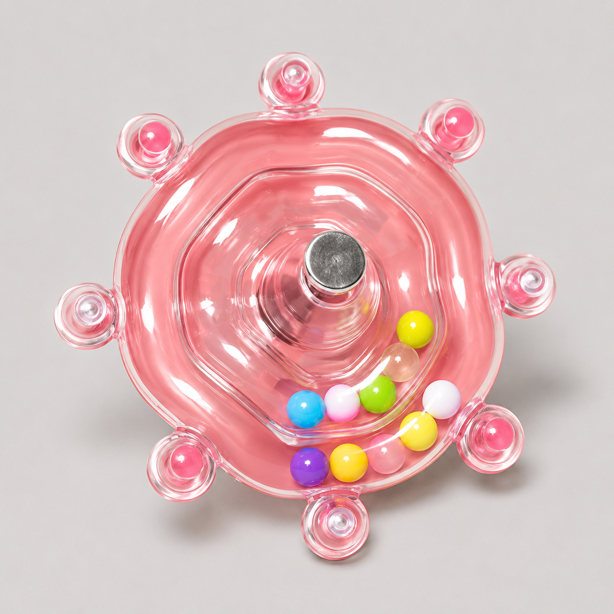 Bird Cage Activity Wheel