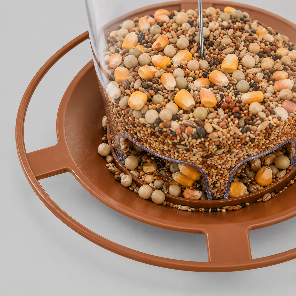 Backyard Bird Feeder