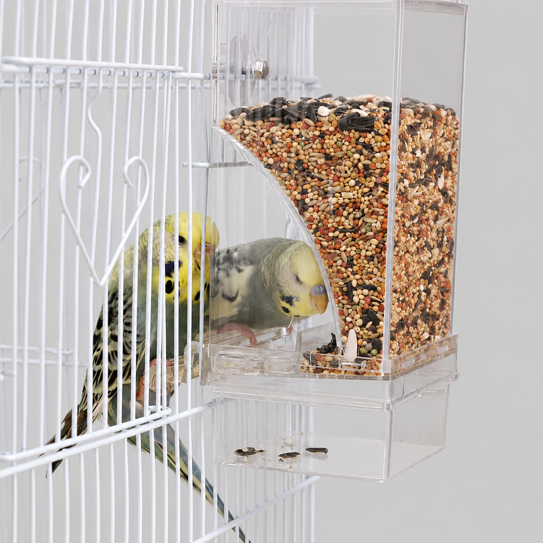 Clean Feed Bird Feeder