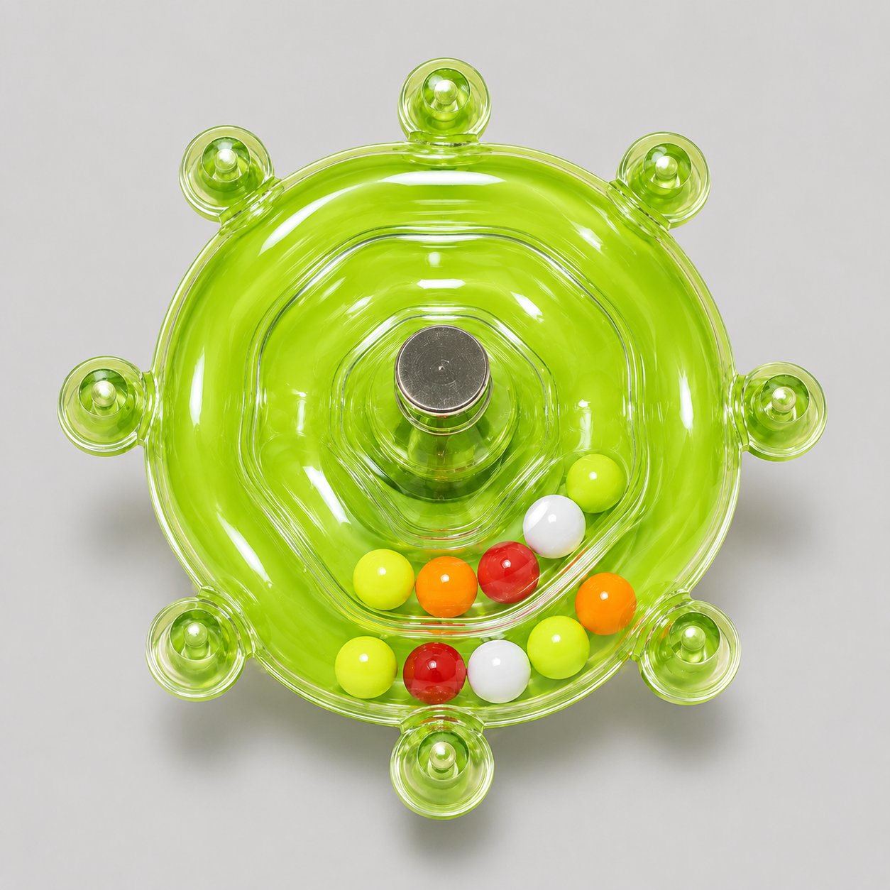 Bird Cage Activity Wheel