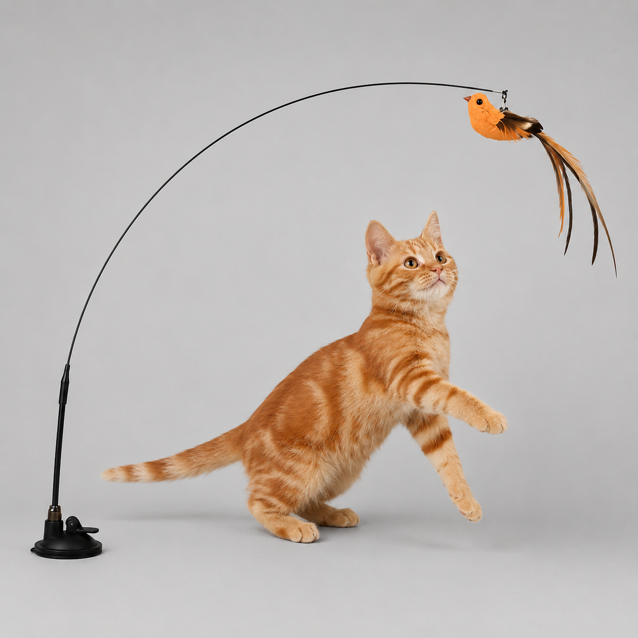 Suction Cup Bird Cat Toy