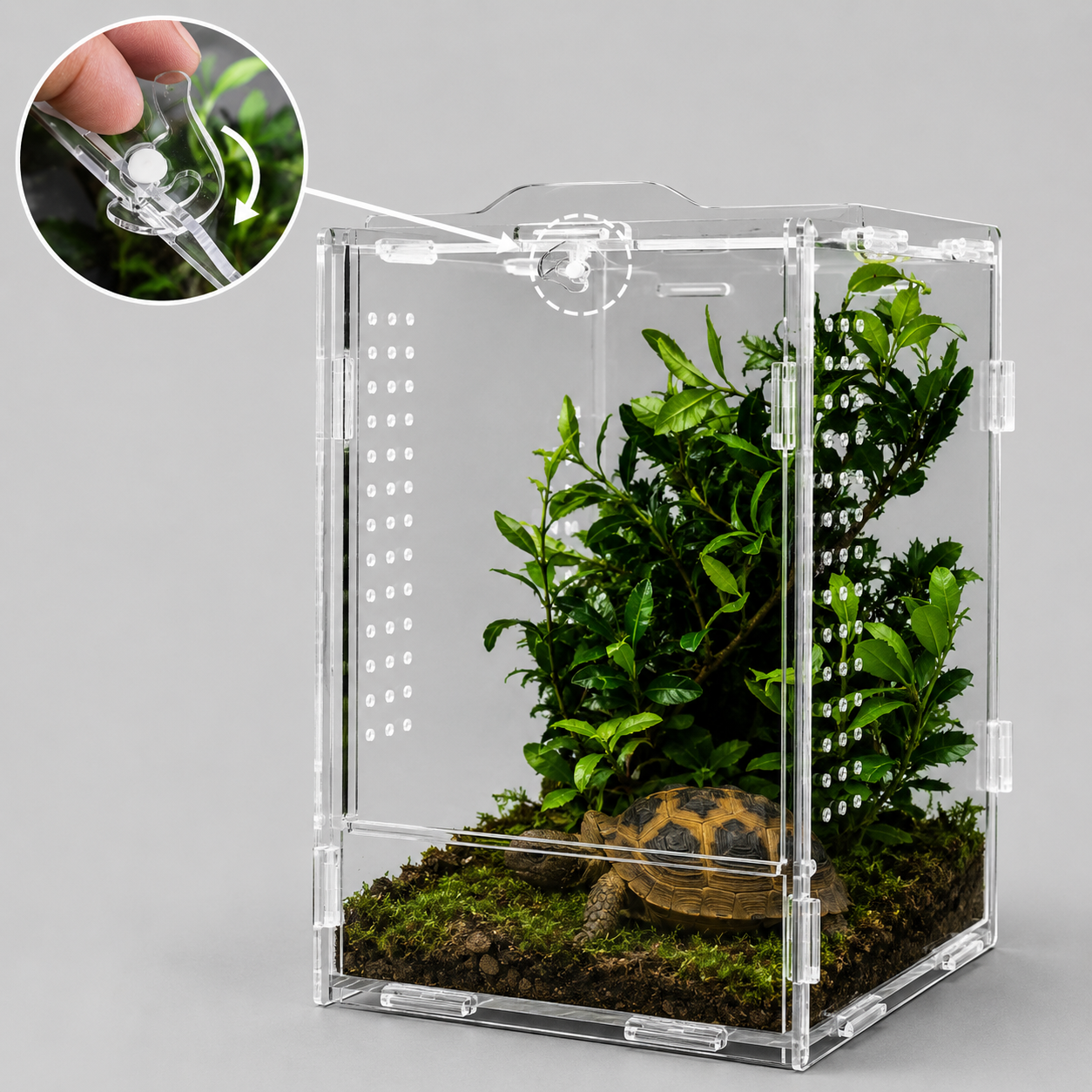 Transparent Reptile Enclosure
