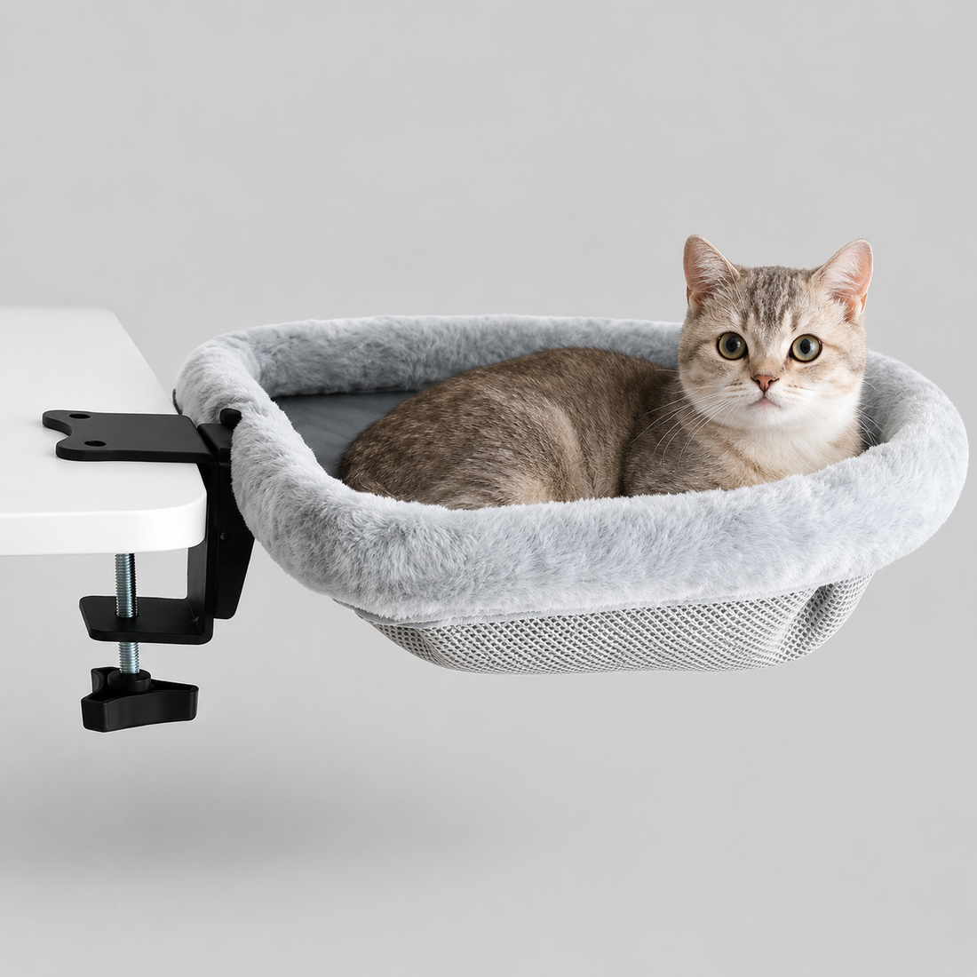 Hanging Desk Bed
