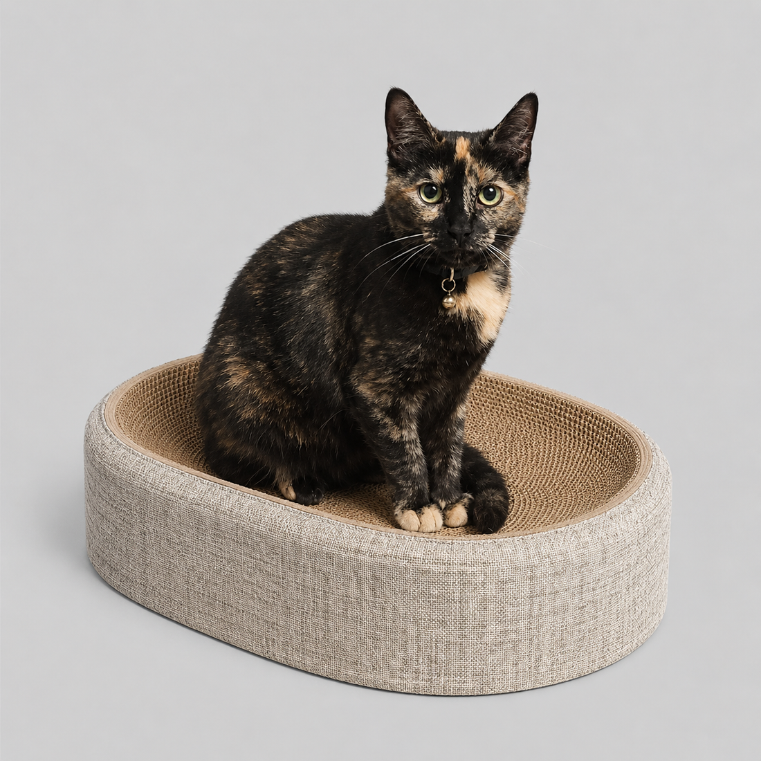 Oval Cat Scratching Bed