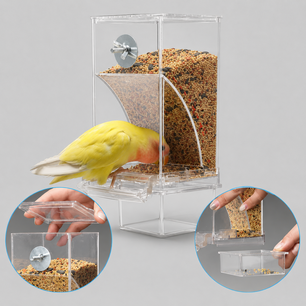 Clean Feed Bird Feeder
