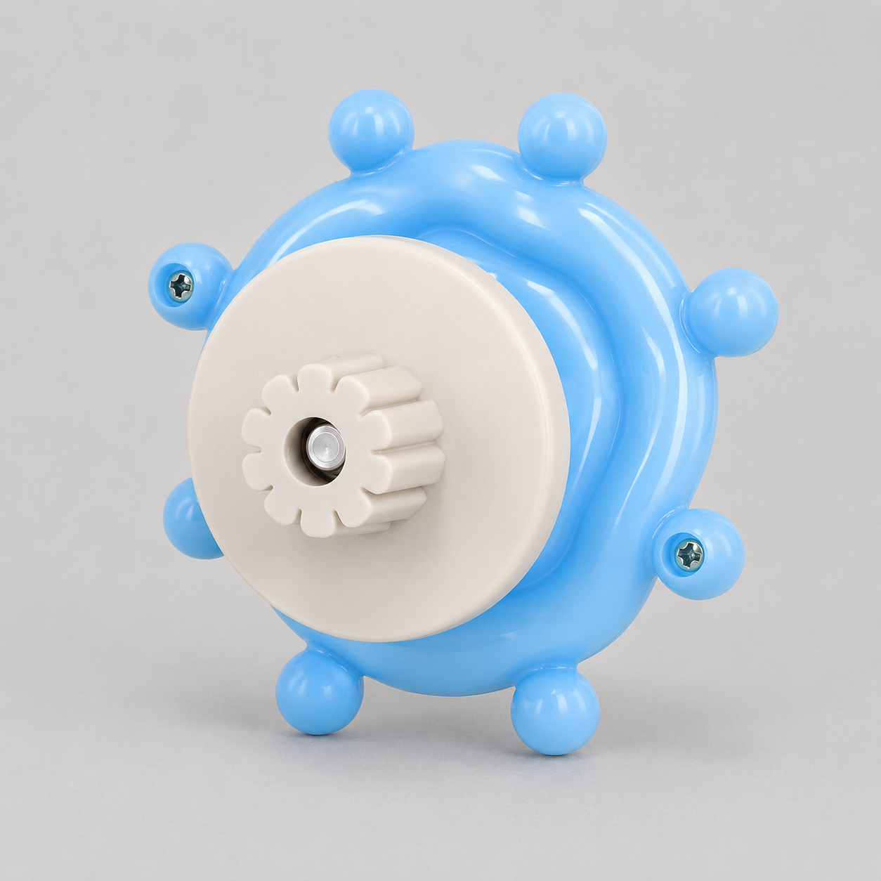 Bird Cage Activity Wheel