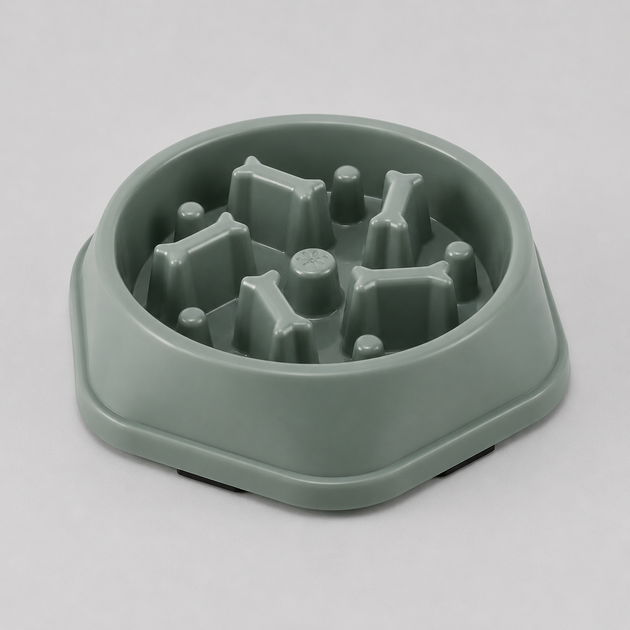 Slow Feed Dog Bowl