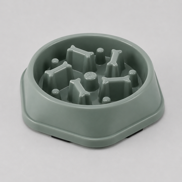 Slow Feed Dog Bowl
